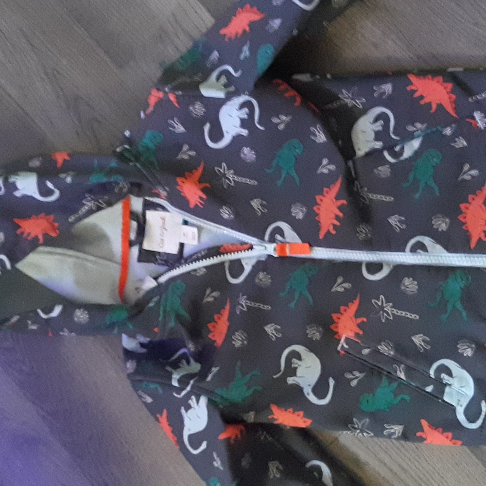 Toddler boys dinosaur jacket